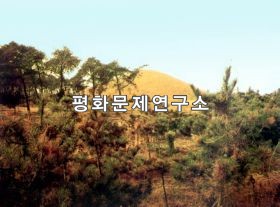 [유물유적관]강서중무덤(국보급 제28호) 전경