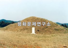 순안구역 장군 고로의 묘