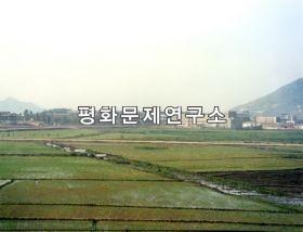 신포시 읍농장 앞벌