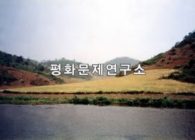 연탄군 재봉골