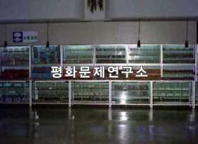 대성구역 대성종합직매점 당과류매대(사탕,과자판매대)