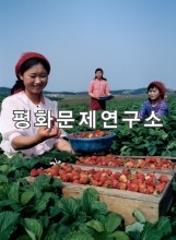 용산동 용산협동농장 딸기 수확