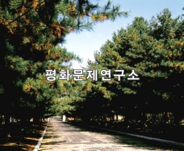 성문이동 잣나무길