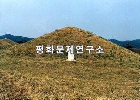 대로 제우의 묘(보존급 제1713호)