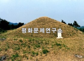 대사자 다혜환노의 묘(보존급 제1711호)