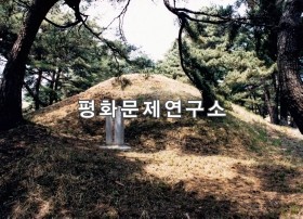 대신 오이의 묘(보존급 제1706호)