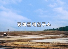 진도동 염전