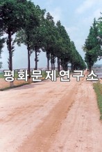 도지리 입구도로