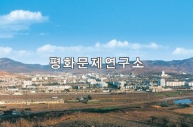 나선시 전경