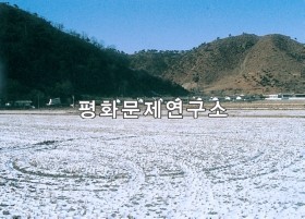 용진동 서참앞벌