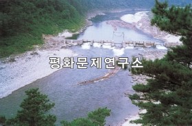 덕천시 덕천임산사업소