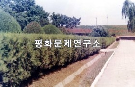 성삼리 거리 모습