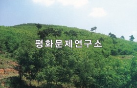 중석화리 아까시밭