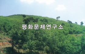 중석화리 아까시밭