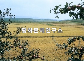 마산리 논벌