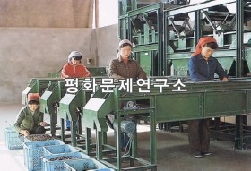 성천군 밤연구소밤알선별기