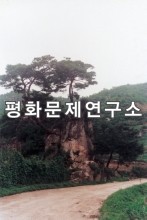 양덕읍 입구도로