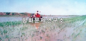 이압리 논벌
