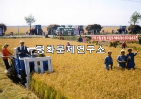 삼봉리 벼 수확