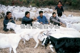남산리 남산협동농장종합축산분장