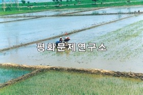 정주시 논벌