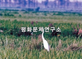천대리 소감도의 노랑부리백로