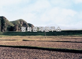 서화리 논밭