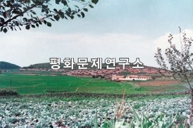 신도군 전경