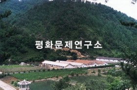 옥포리 돼지목장
