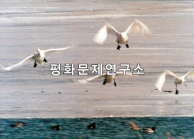 장평저수지고니떼