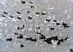 장평저수지고니떼