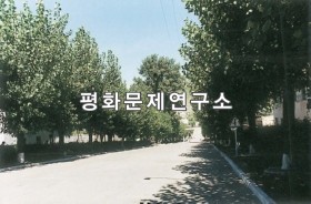 새마을동 입구도로