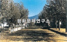위원읍 거리 모습