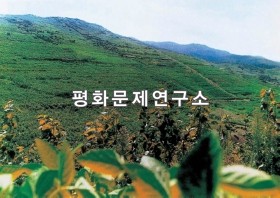 장강읍 뽕밭