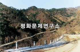 초산읍 입구도로