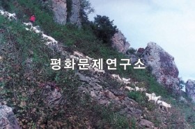 와인리 염소 방목