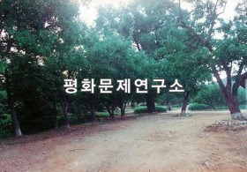 송곡리 입구도로