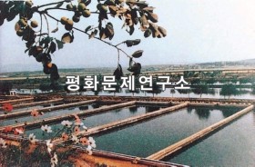 용정리 용정양어장