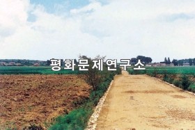 선포리 입구도로