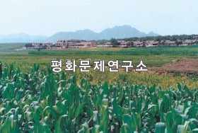 다암리 한바위