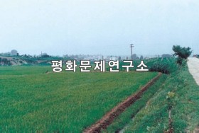 다암리 논벌