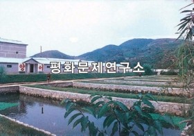 온천리 송화메기종어장실 외 메기못