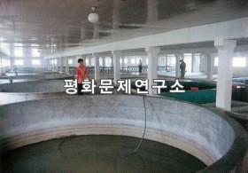 온천리 송화메기종어장실 내 메기못