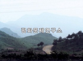 신창리 고갯길