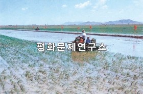 오국리 모내기