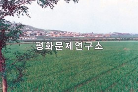 소아리 논벌