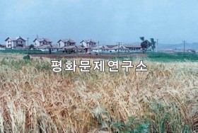 소아리 당산동