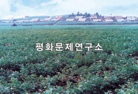 정촌리 봉황동