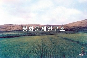 서해리 참대농장