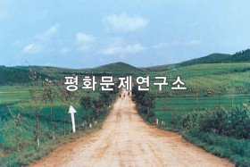 수대리 수대리를 통과하는 옹진과 태탄 간 도로